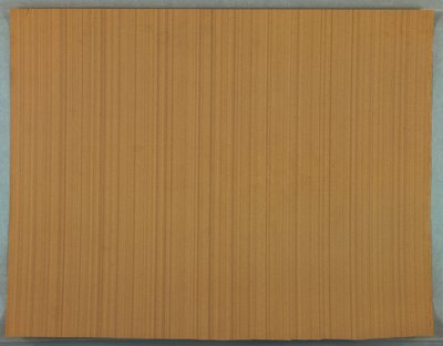 Sidewall (possibly France), 1895-1905 by Unknown